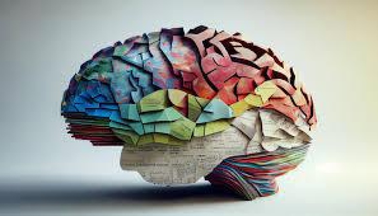 Enfermedades del cerebro: todo lo que debes saber